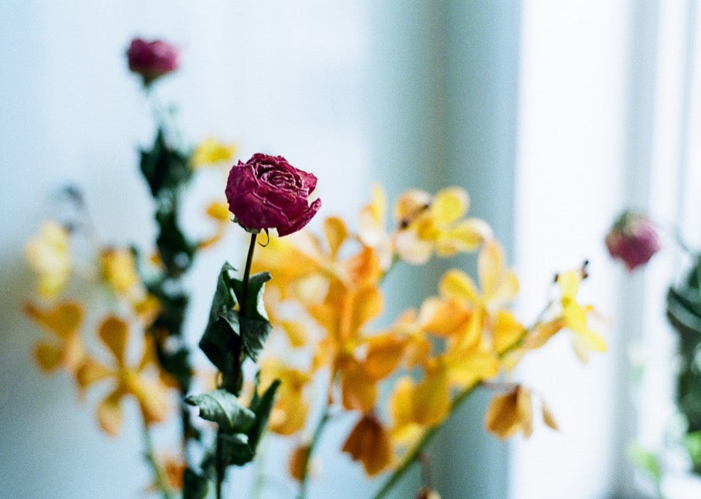 Simple Use Reloadable Film Camera Color Negative