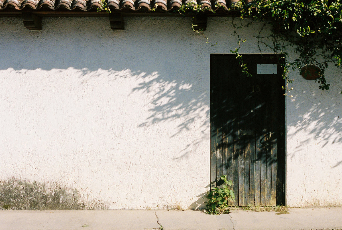 Kodak Ektacolor Pro 400 35mm