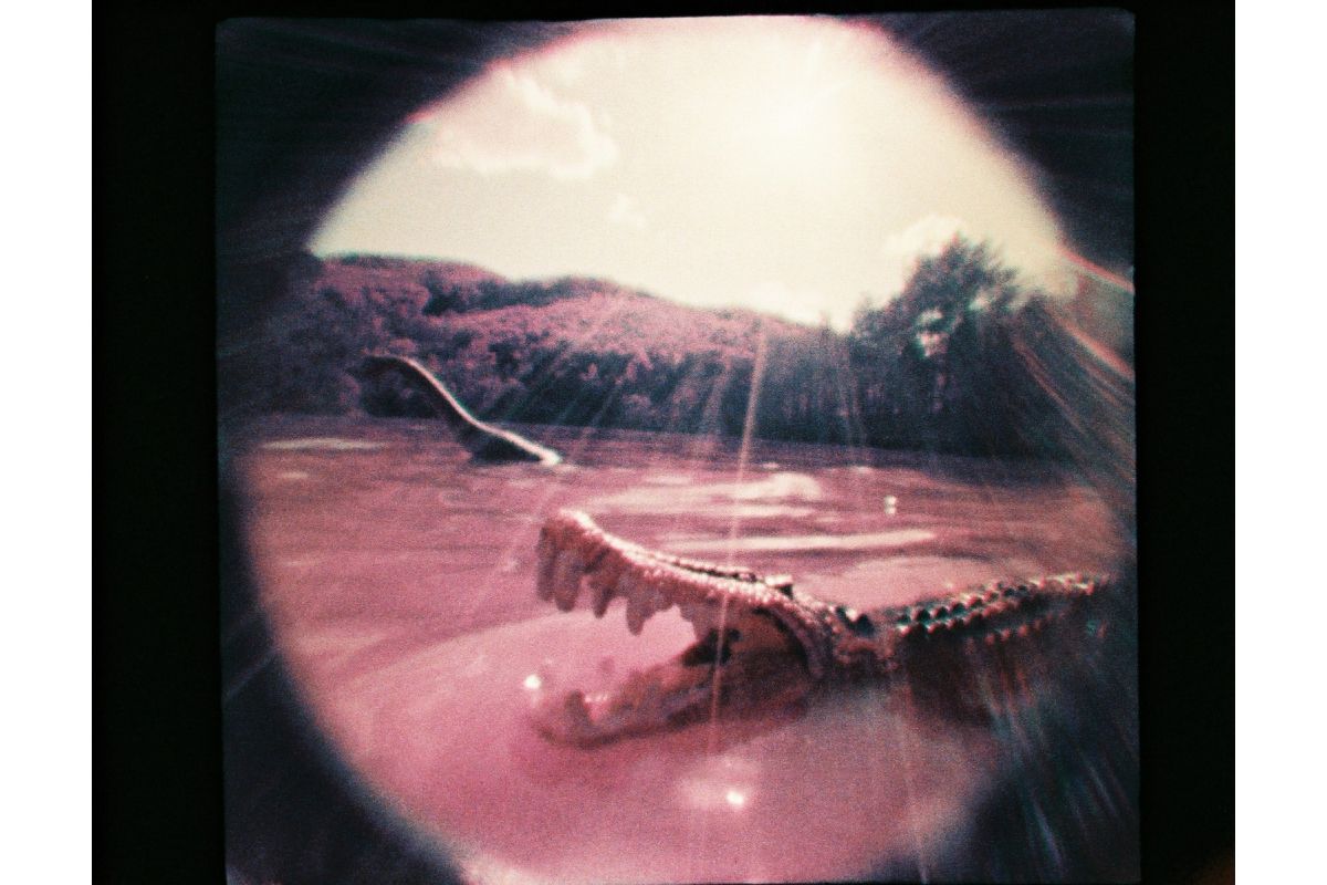 Fisheye Baby Multicolor