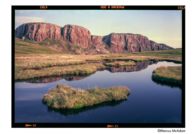 HARMAN PHOENIX II - ISO 200 35mm x 36exp
