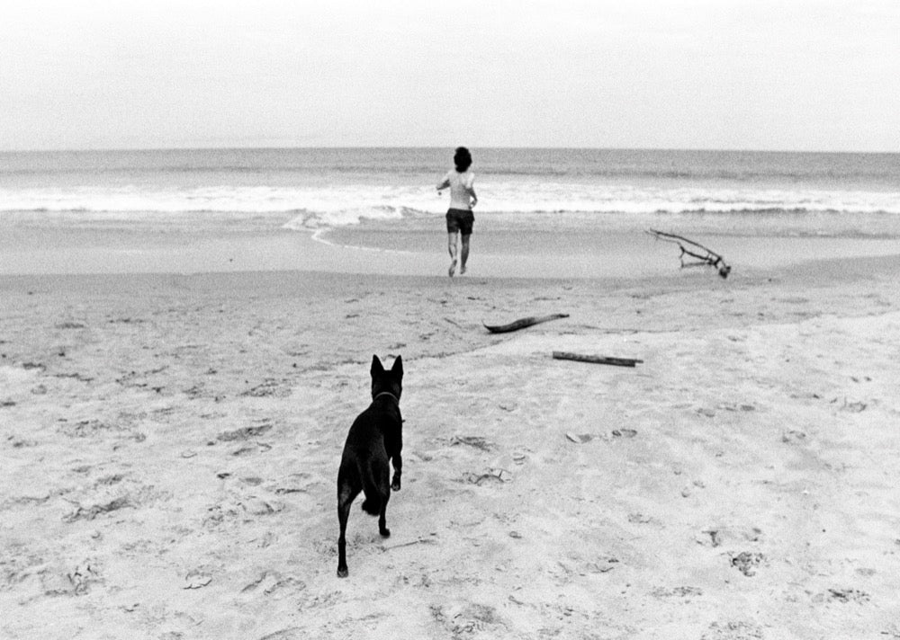 Ilford HP5 Plus 120