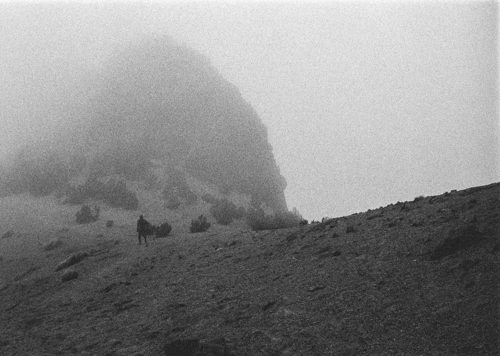 Kodak Tri-X 400 ISO 35mm x 24 exp