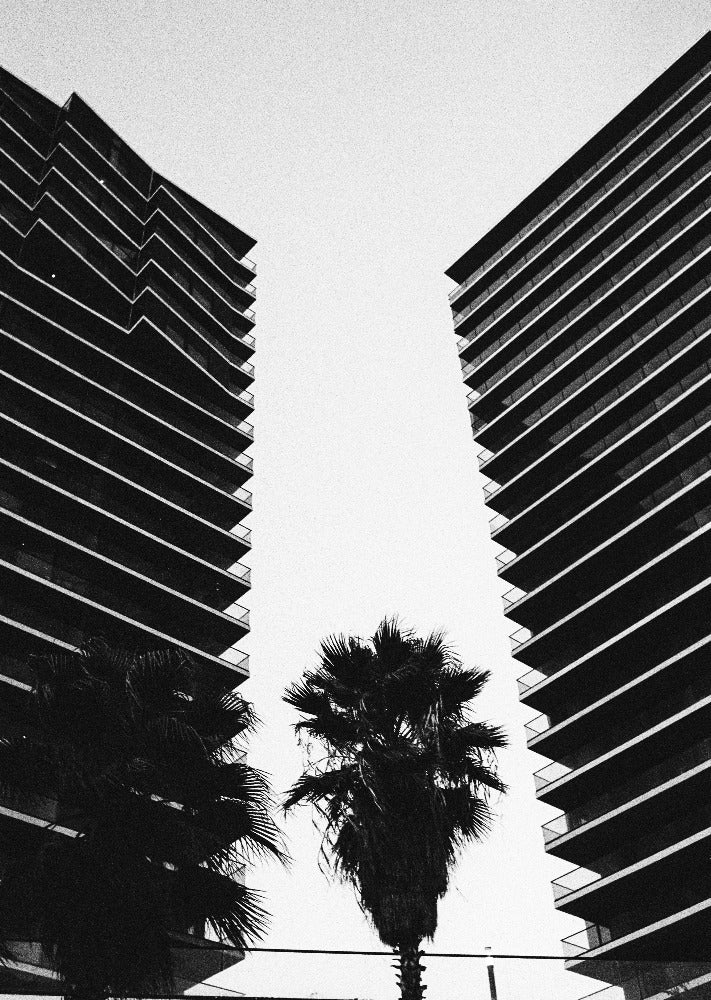 Kodak Tri-X 400 ISO 35mm x 24 exp