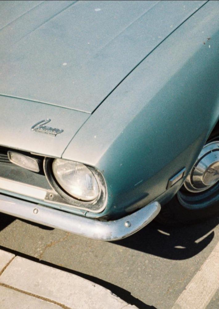 Lomography Tiger CN 110 ISO 200 - Individual