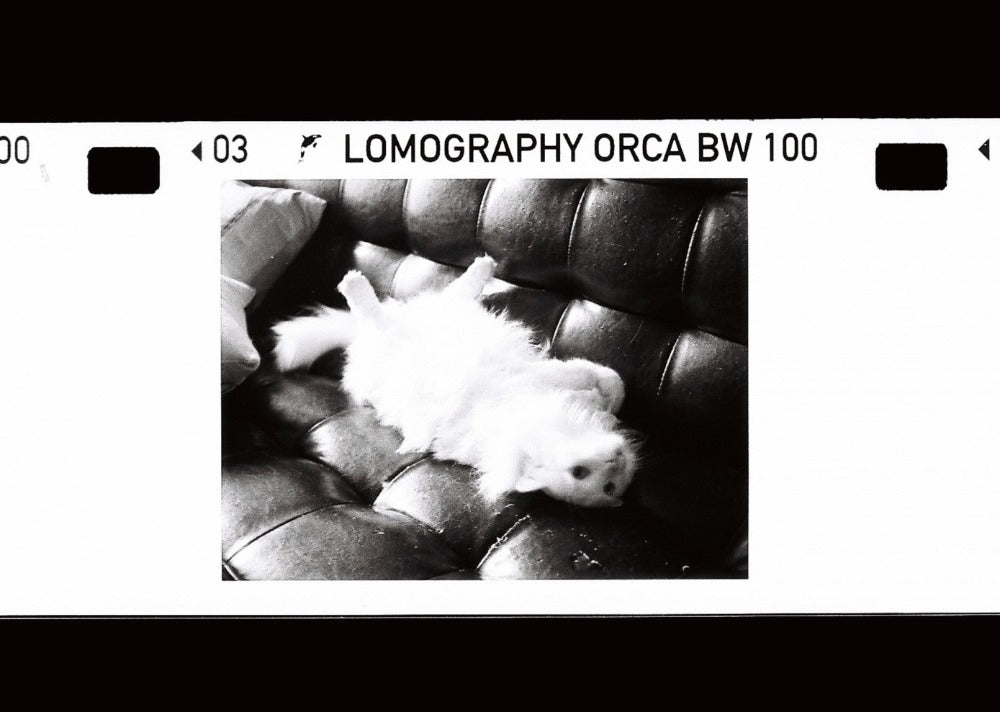 Lomography Orca B&W 110 ASA 100